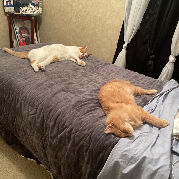 Meet your Posher, Jodée - Picture 6 of 12